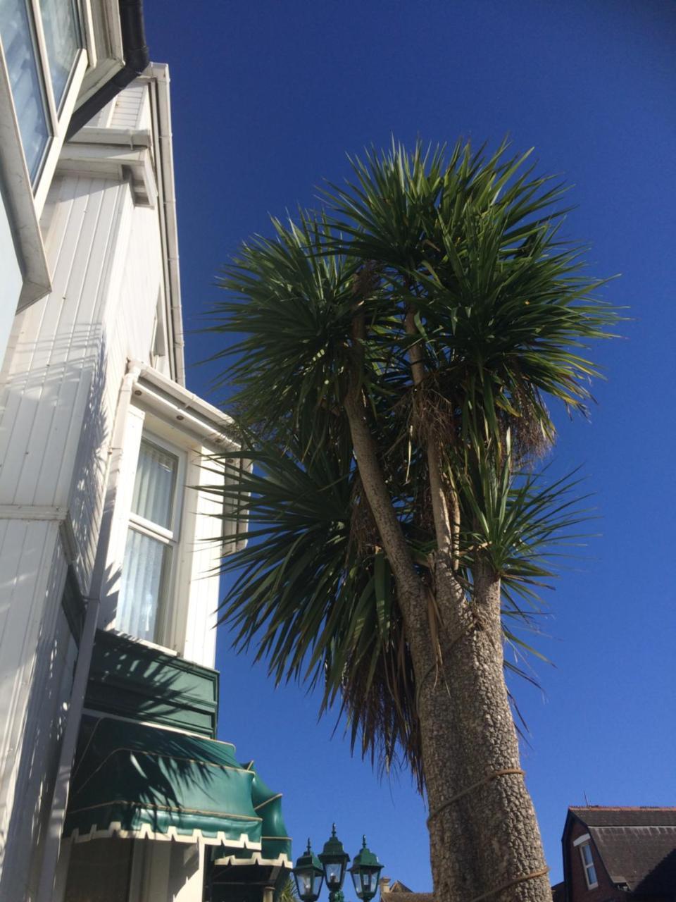 The Haldon Guest House Paignton Exterior foto